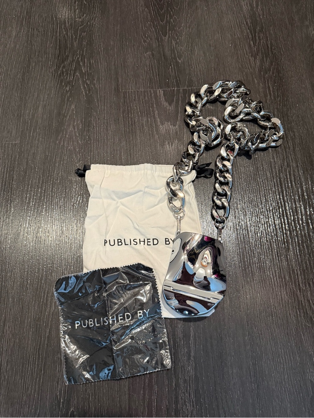 Published By Chunky Silver Chain Mini bag